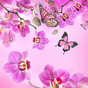 Icône de Pink Flowers Live Wallpaper