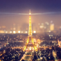 Paris Night Light LWP