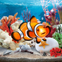 3D Aquarium Live Wallpaper 아이콘