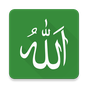 Icoană 99 Names of Allah