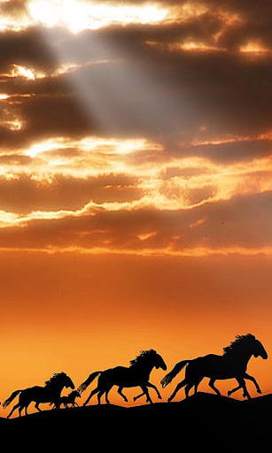 Horses by Dream World HD Live Wallpapers para Android baixar grátis. O  papel de parede animado Cavalos de Android.