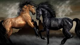 Horse Live Wallpaper image 6