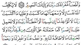 Quran - Mushaf Tajweed zrzut z ekranu apk 4
