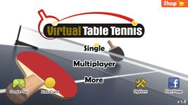 Virtual Table Tennis capture d'écran apk 21