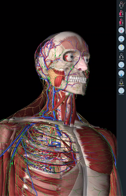 essential anatomy 3 free trial