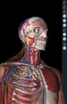 Captura de tela do apk Essential Anatomy 3 1