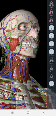 essential anatomy 3 kickass