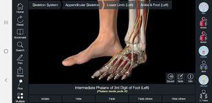 Screenshot 12 di Essential Anatomy 3 apk