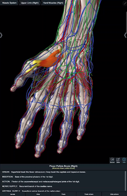 essential anatomy 3 4.3 apk free download
