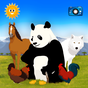모두 다 찾기 : 동물 찾기 – 어린이 교육용 게임 아이콘