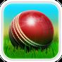 Ícone do apk Cricket 3D