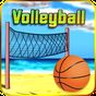 VolleyBall APK