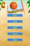 Картинка 9 VolleyBall