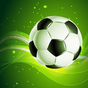 Icono de Winner Soccer Evolution