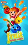 Fruit Splash Mania ekran görüntüsü APK 3