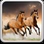Horses Live Wallpaper apk icon