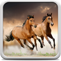 Horses Live Wallpaper APK