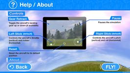 RealFlight Mobile の画像11