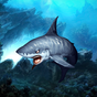 Ícone do 3D Sharks Live Wallpaper Lite