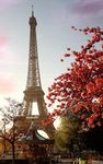 Sunny Paris Live Wallpaper image 6