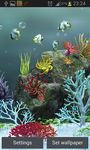 Aquarium Live Achtergronden afbeelding 7