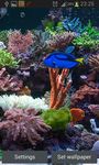 Aquarium Live Achtergronden afbeelding 8