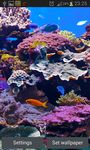 Aquarium Live Wallpaper image 5