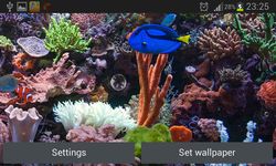 Aquarium Live Wallpaper image 3