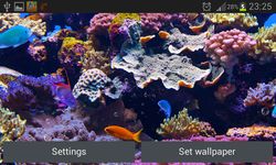 Aquarium Live Achtergronden afbeelding 