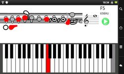 How To Play Flute screenshot apk 5