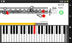 How To Play Flute screenshot apk 4