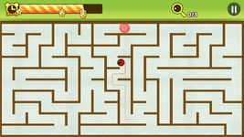 Maze King screenshot apk 11