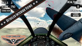 Avion Flight Simulator 2014 image 1