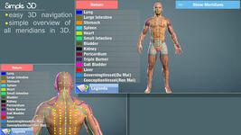 Captura de tela do apk Easy Acupuncture 3D -FULL 1