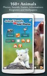 Screenshot 9 di Versi animali apk