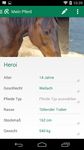 ReiterApp | horse riding image 5