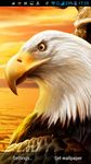 Eagle Live Wallpaper image 6