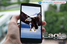 Eagle Live Wallpaper image 1