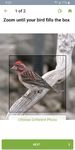 Скриншот 3 APK-версии Merlin Bird ID By Cornell Lab