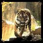 APK-иконка Тигры Живые Обои