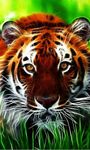 Tigers Live Wallpaper image 5