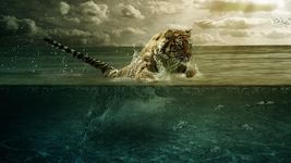 Картинка  Тигры Живые Обои