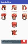Картинка  Bodybuilding