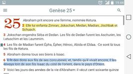 La Bible. Commentaires capture d'écran apk 8