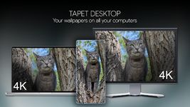 Tapet Wallpapers ekran görüntüsü APK 1