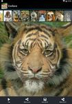 Zooface - GIF Animal Morph ekran görüntüsü APK 3