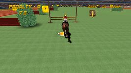 Imagem 22 do Show Jumping