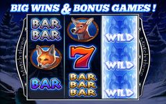 Slots Lucky Wolf Casino Slots capture d'écran apk 6