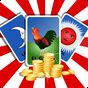 Loteria Tradicional Mexicana APK