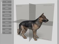 Screenshot 4 di 3D Dog Anatomy apk